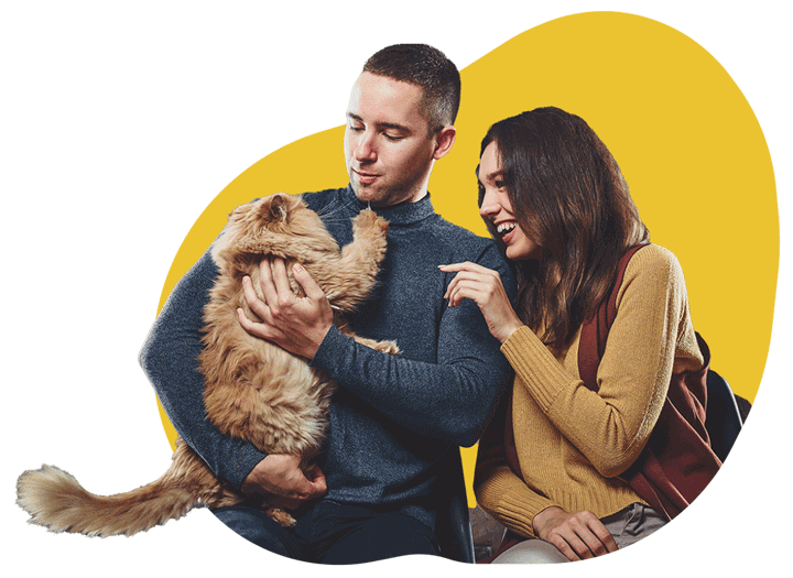 Chat ou chien, tous les animaux de compagnie méritent d'être comblés