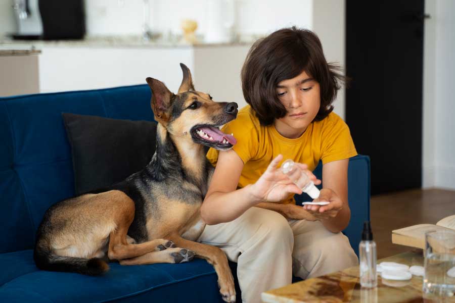 pour effectuer le toilettage de mon chien je nettoie son museau