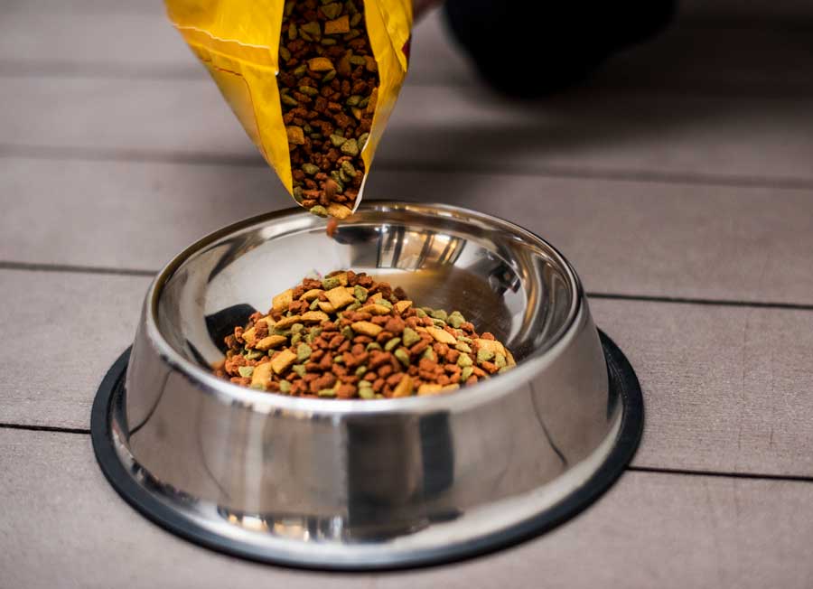 Croquettes pour chiot : quelle taille faut-il choisir ?