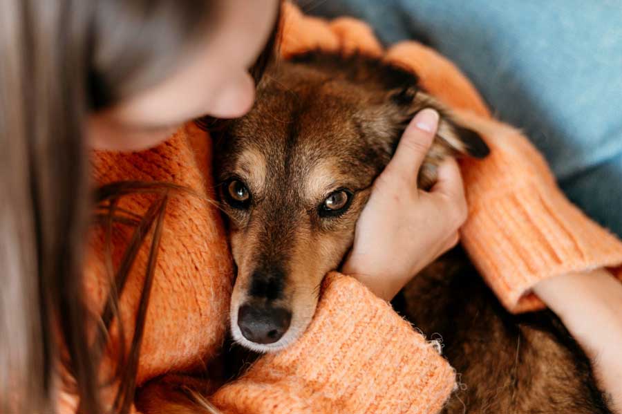 femme qui caresse son chien mignon