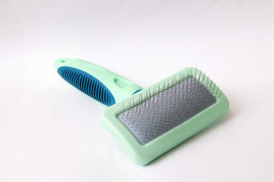 Types de brosse pour chien : la carde